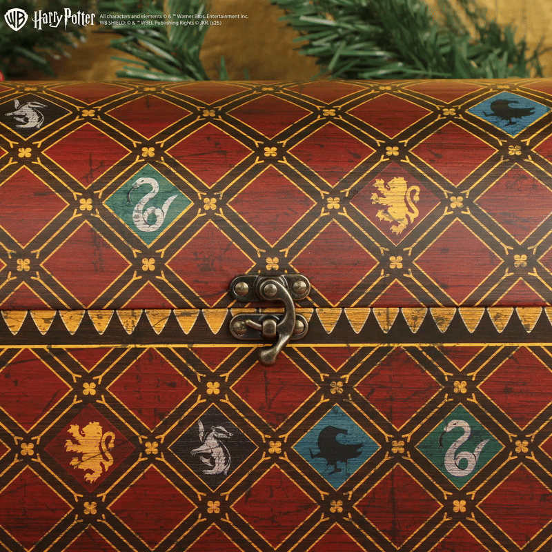 Quidditch Deluxe Adventskalender