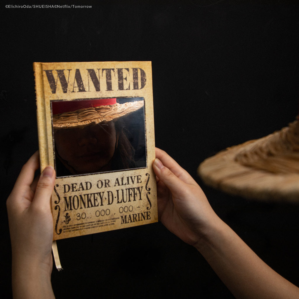 Notebook a specchio desiderato