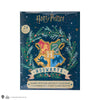 Calendario de Adviento de Harry Potter 2022