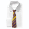 Harry Potter Gryffindor tie