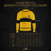 Hufflepuff Quidditch Sweater