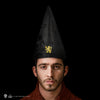 Gryffindor Studentenhut