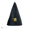 Gryffindor Studentenhut