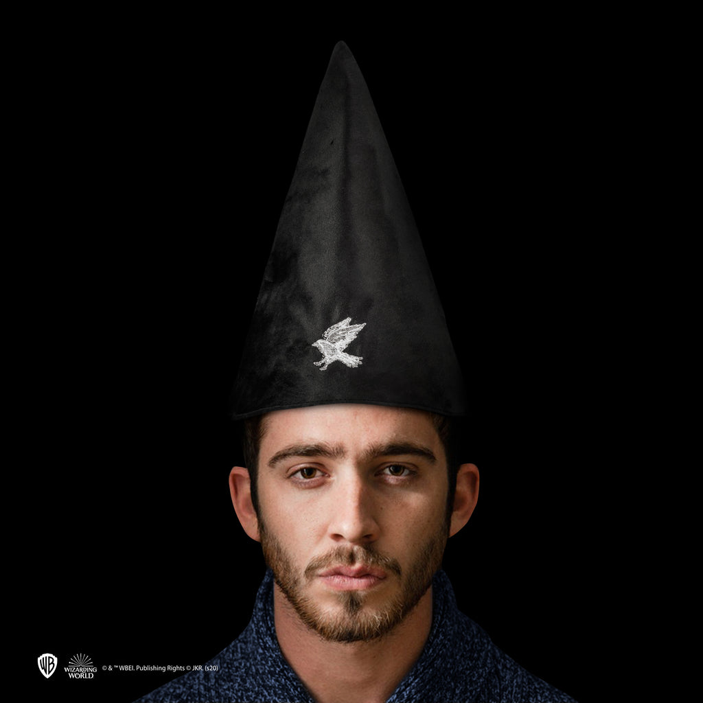 Ravenclaw Studentenhut