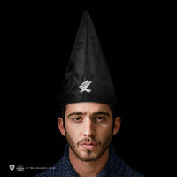 Ravenclaw Studentenhut