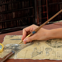 Newt Scamander Penna a bacchetta