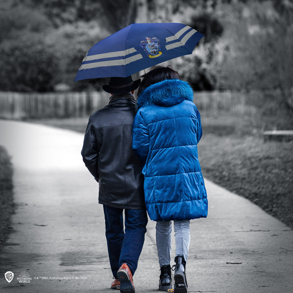 Ravenclaw Regenschirm