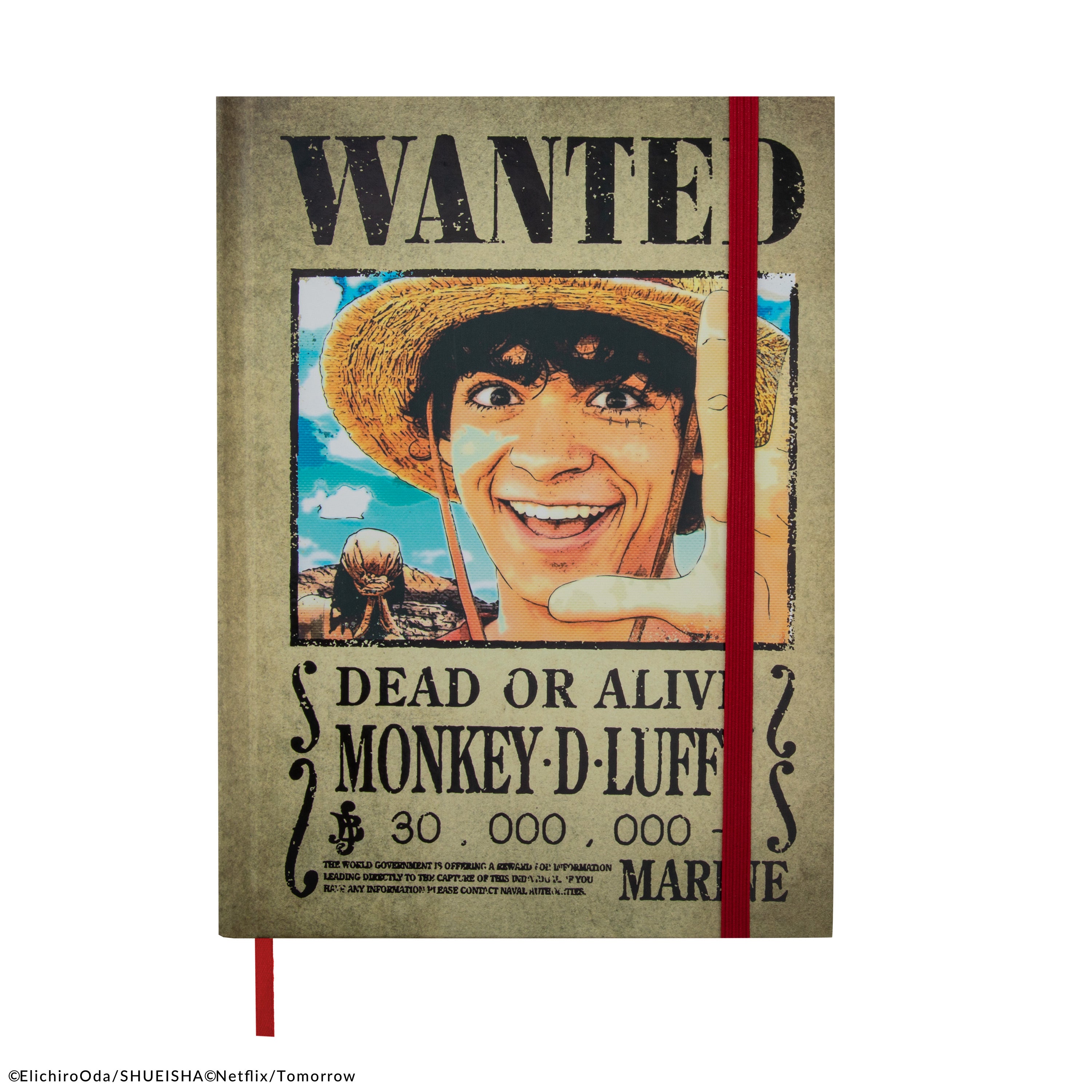 One Piece Wanted Poster standaard Papier 68 x 98 cm Anime, Fan merch, TV-series One Piece Wanted Poster standaard Papier 68 x 98 cm Anime, Fan merch, TV-series