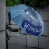 Miércoles con Paraguas de Violonchelo
