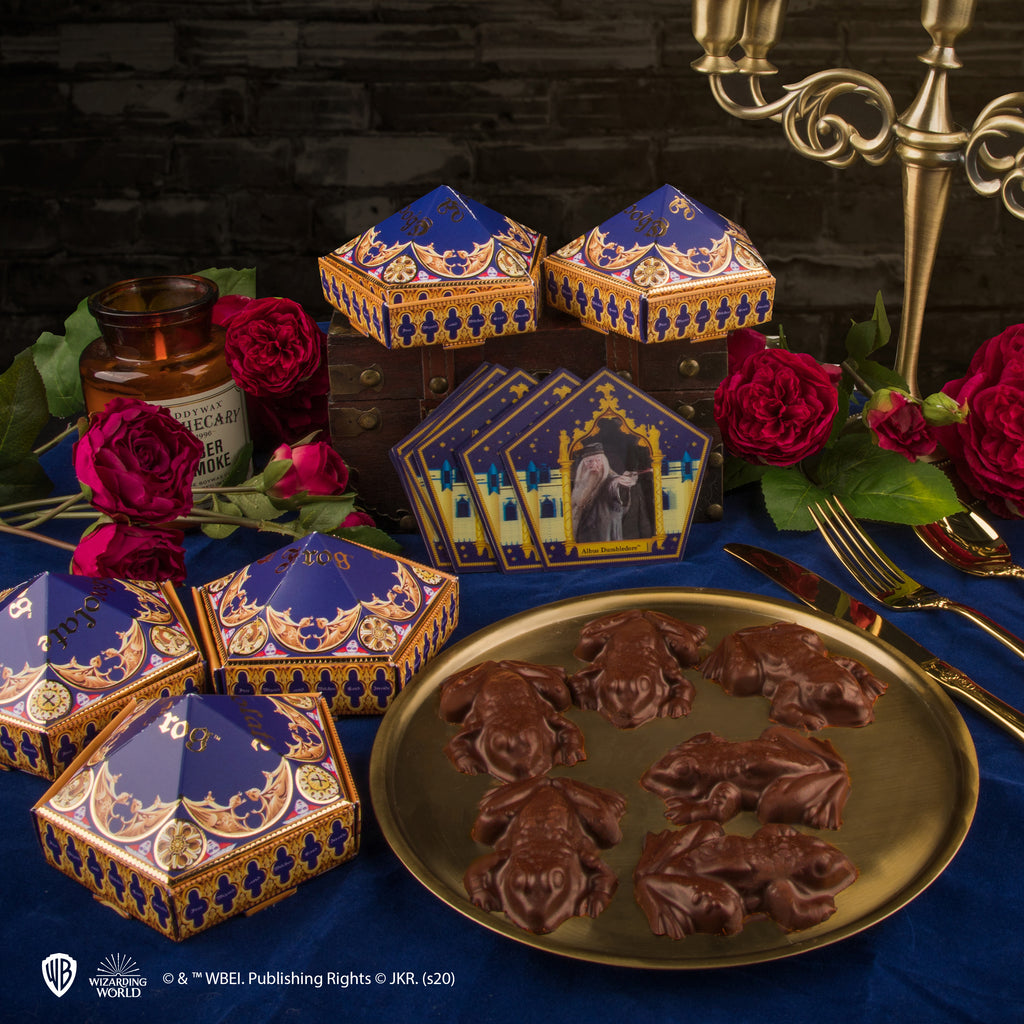 Schokoladenfroschform + 12 Zaubererkarten + 6 DIY-Boxen (Neuauflage)