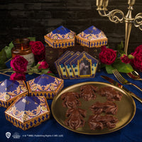 Chocolate Frog Mould + 12 Wizard Cards + 6 DIY boxes (New Edition)