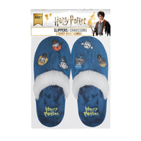 Harry Potter Starry Night Kawaii Slippers