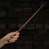 Penna bacchetta Hermione Granger